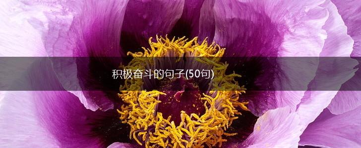 积极奋斗的句子(50句),第1张