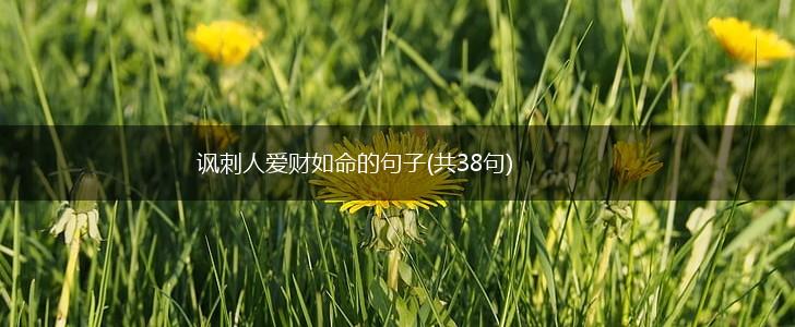 讽刺人爱财如命的句子(共38句),第1张