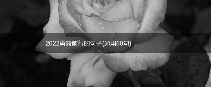 2022勇毅前行的句子(通用60句),第1张