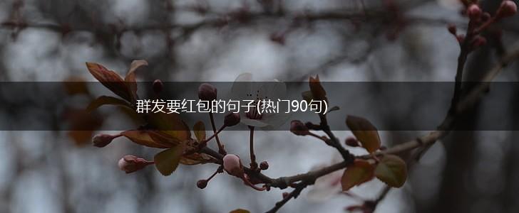 群发要红包的句子(热门90句),第1张