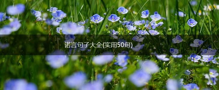 诺言句子大全(实用50句),第1张