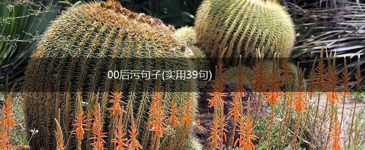 00后污句子(实用39句),第1张