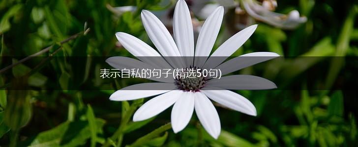 表示自私的句子(精选50句),第1张