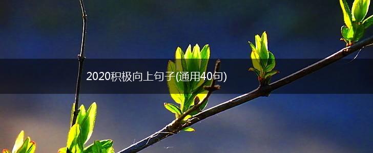 2020积极向上句子(通用40句),第1张