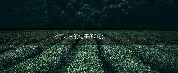 4字之内的句子(80句),第1张