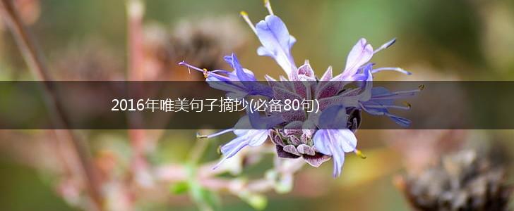 2016年唯美句子摘抄(必备80句),第1张