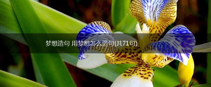 梦想造句 用梦想怎么造句(共71句),第1张