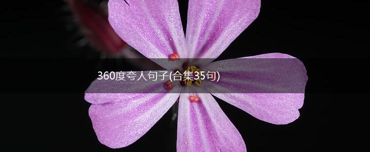 360度夸人句子(合集35句),第1张