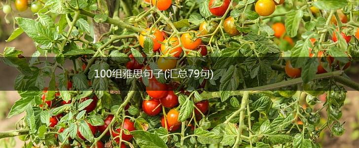 100组雅思句子(汇总79句),第1张