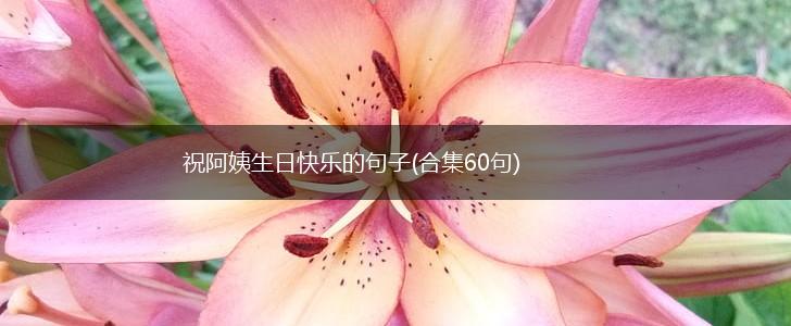 祝阿姨生日快乐的句子(合集60句),第1张