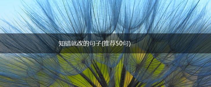 知错就改的句子(推荐50句),第1张