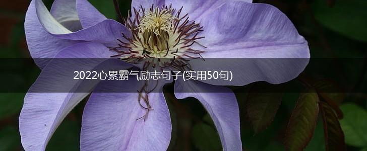 2022心累霸气励志句子(实用50句),第1张