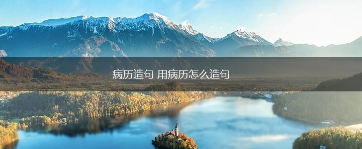 病历造句 用病历怎么造句,第1张
