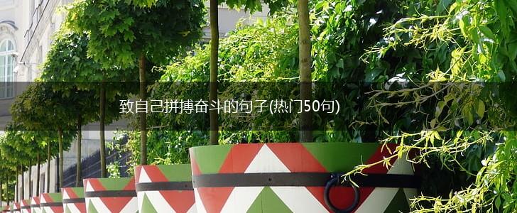 致自己拼搏奋斗的句子(热门50句),第1张