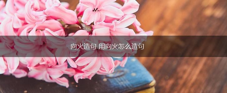 向火造句 用向火怎么造句,第1张
