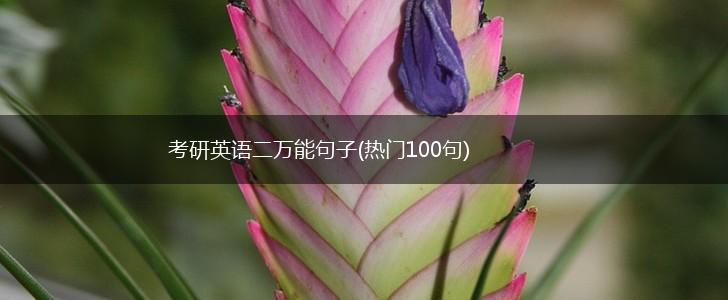 考研英语二万能句子(热门100句),第1张