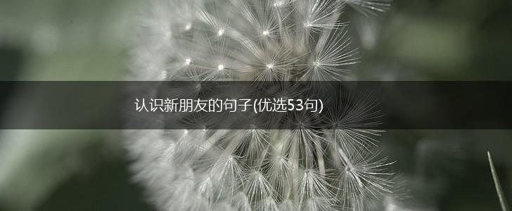 认识新朋友的句子(优选53句),第1张