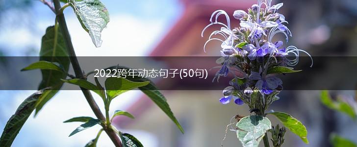 2022跨年动态句子(50句),第1张