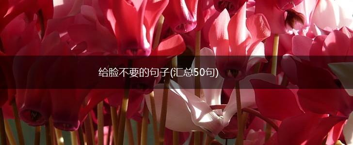 给脸不要的句子(汇总50句),第1张