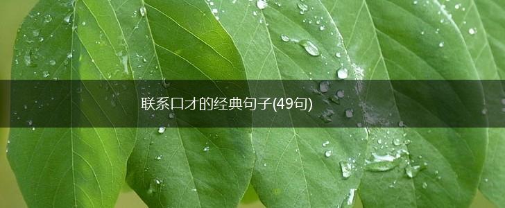 联系口才的经典句子(49句),第1张
