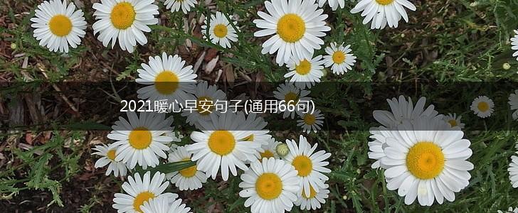 2021暖心早安句子(通用66句),第1张