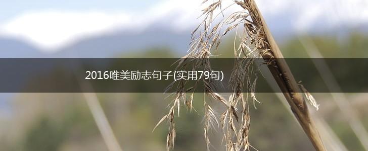 2016唯美励志句子(实用79句),第1张