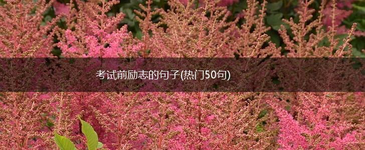 考试前励志的句子(热门50句),第1张