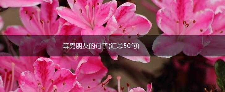 等男朋友的句子(汇总50句),第1张