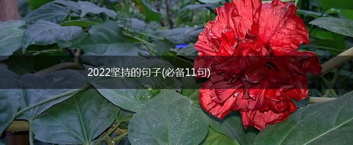 2022坚持的句子(必备11句),第1张