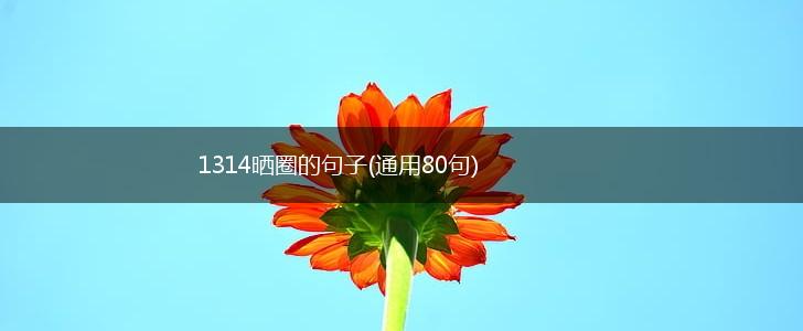1314晒圈的句子(通用80句),第1张