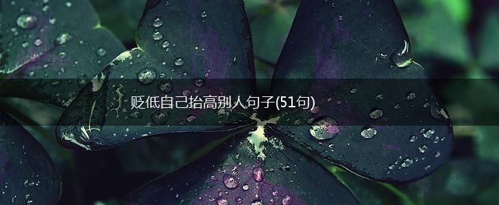 贬低自己抬高别人句子(51句),第1张