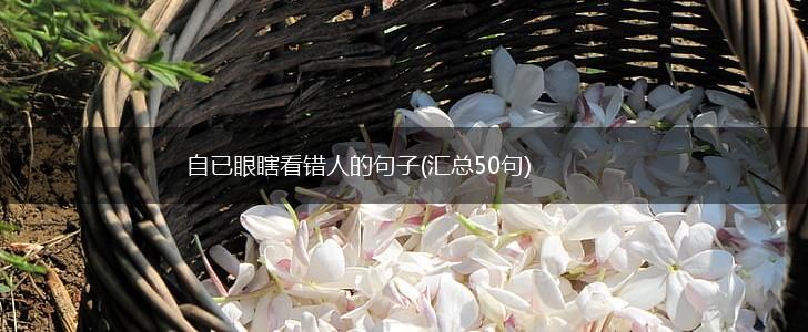 自已眼瞎看错人的句子(汇总50句),第1张