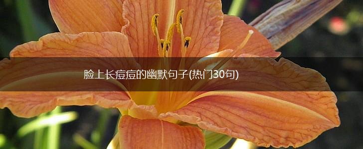 脸上长痘痘的幽默句子(热门30句),第1张