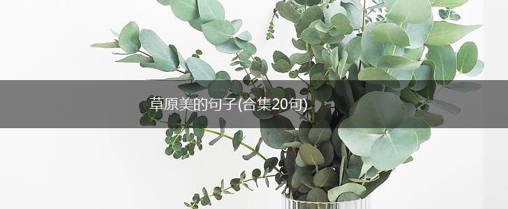 草原美的句子(合集20句),第1张