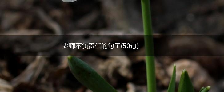 老师不负责任的句子(50句),第1张