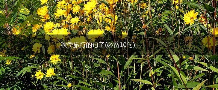 秋季旅行的句子(必备10句),第1张