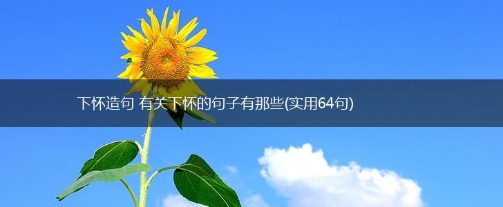 下怀造句 有关下怀的句子有那些(实用64句),第1张