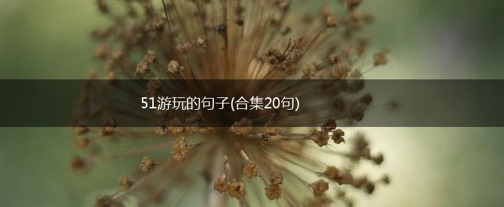 51游玩的句子(合集20句),第1张