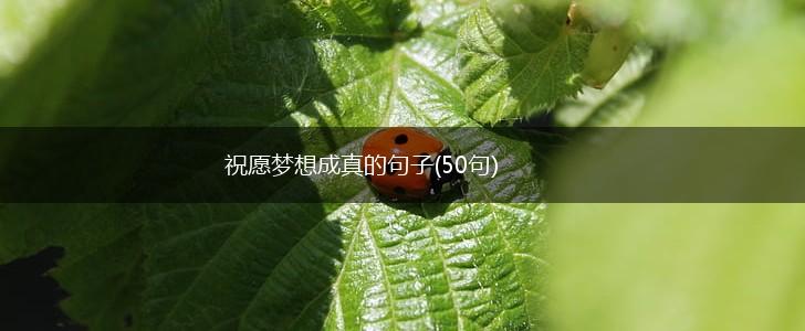 祝愿梦想成真的句子(50句),第1张