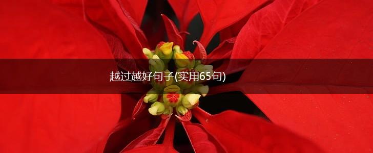 越过越好句子(实用65句),第1张