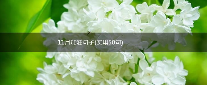 11月加油句子(实用50句),第1张
