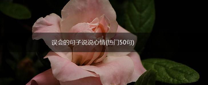 误会的句子说说心情(热门50句),第1张