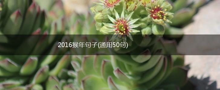 2016猴年句子(通用50句),第1张