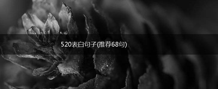 520表白句子(推荐68句),第1张