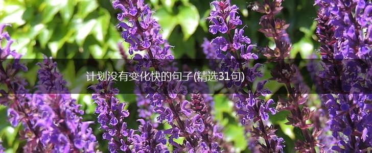 计划没有变化快的句子(精选31句),第1张