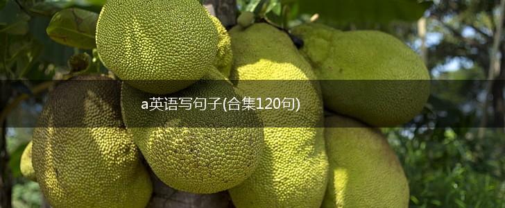 a英语写句子(合集120句),第1张