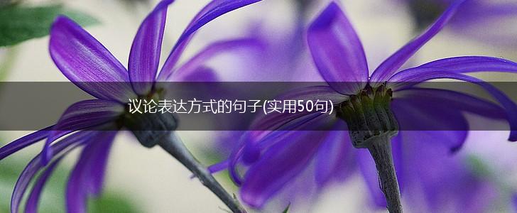 议论表达方式的句子(实用50句),第1张