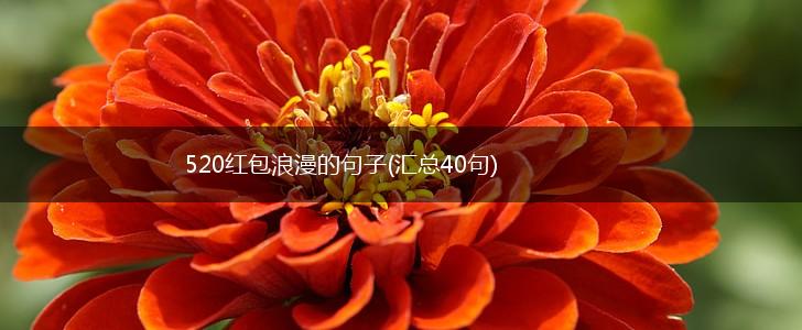 520红包浪漫的句子(汇总40句),第1张