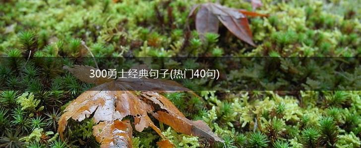 300勇士经典句子(热门40句),第1张