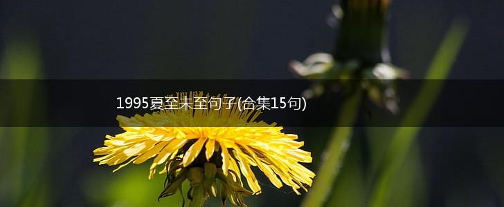 1995夏至未至句子(合集15句),第1张